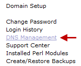 dns management menu